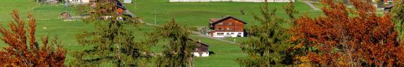 Bild Bild